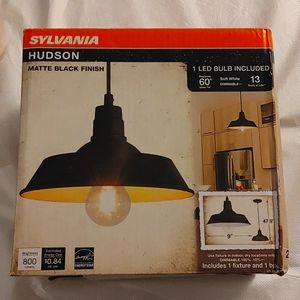 Pendant Light with LED Light Bulb Included